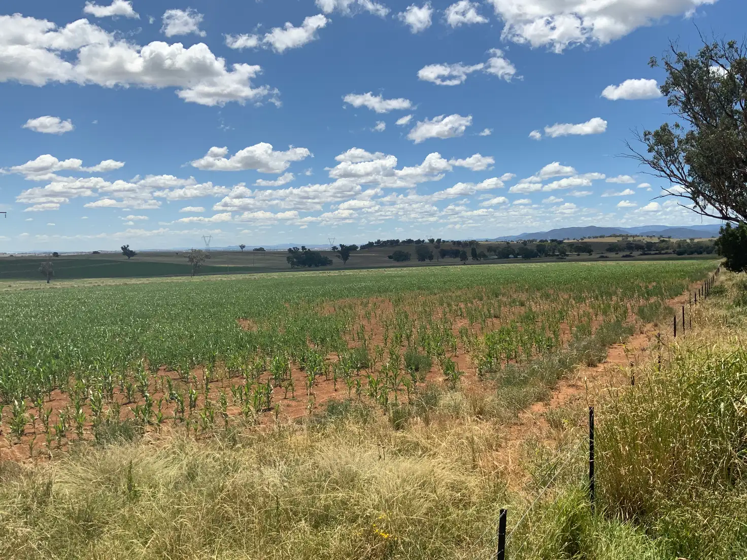 Main view of Homely land listing, Lot 6, 1156 Marsden Park Road, Tamworth NSW 2340