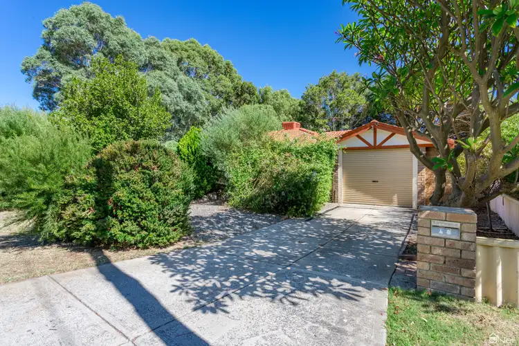 Main view of Homely house listing, 16 Silverhill Loop, Seville Grove WA 6112