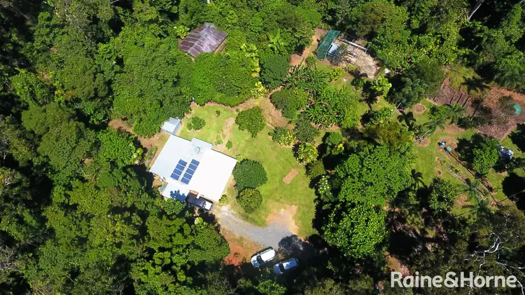 Fifth view of Homely house listing, 131 Buchanan Creek Road, COW BAY, Daintree QLD 4873