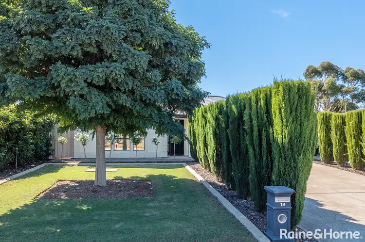 Main view of Homely house listing, 19 Bateman Street, Strathalbyn SA 5255