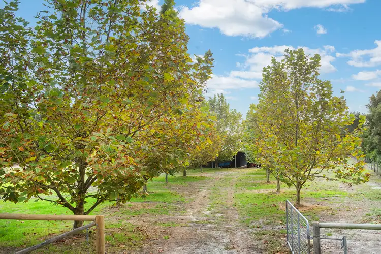 Main view of Homely house listing, 30 Shearers Close, Quedjinup WA 6281