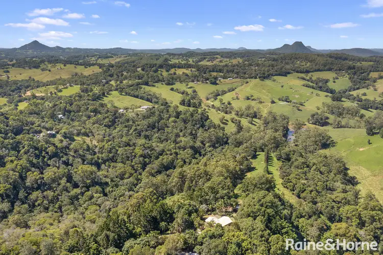50 Butterfly Lane, Black Mountain QLD 4563