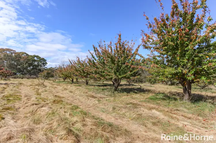 Fourth view of Homely land listing, 89 Abercrombie Road, Oberon NSW 2787