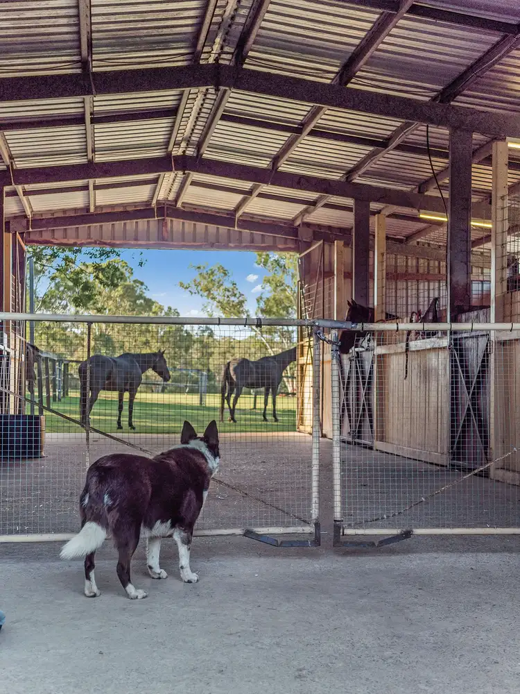 Fifth view of Homely house listing, 76 Mansfield Road, Elimbah QLD 4516