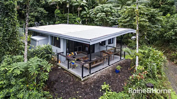 Second view of Homely house listing, 286 Forest Creek Road (Biala), Daintree QLD 4873