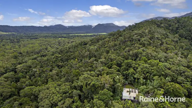 Fifth view of Homely house listing, 286 Forest Creek Road (Biala), Daintree QLD 4873