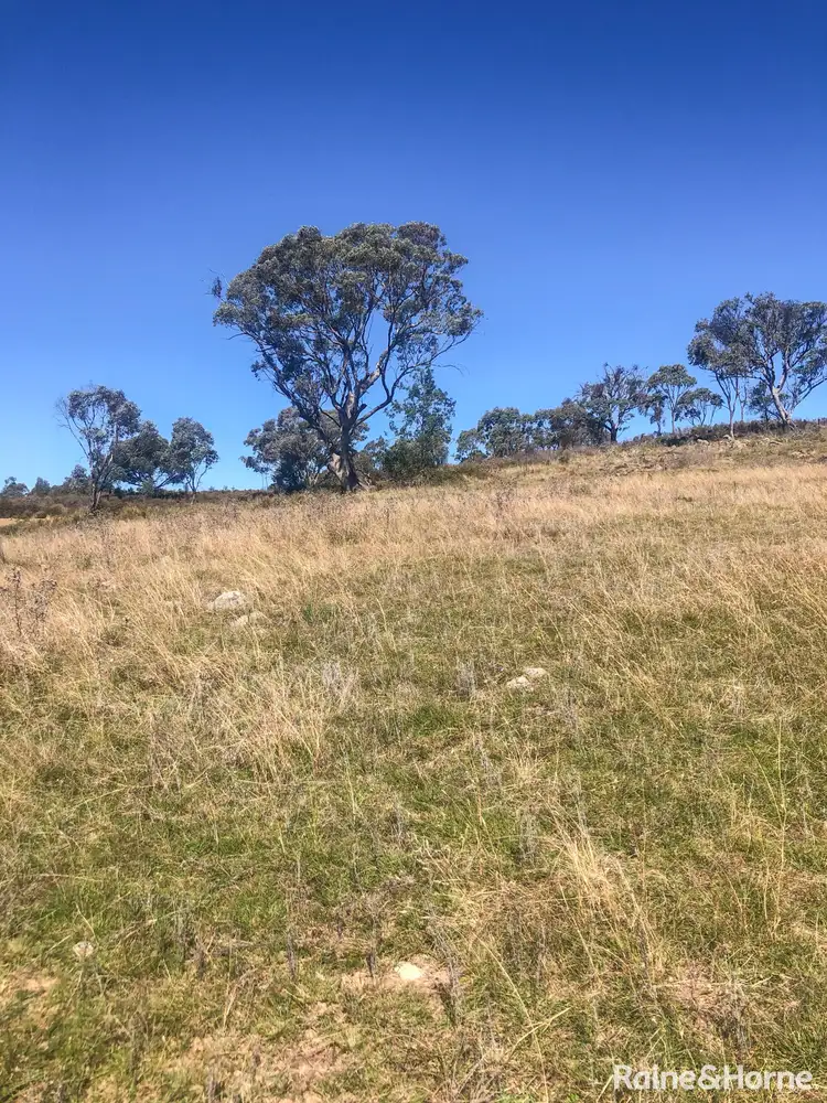Third view of Homely land listing, 350 Posey Hill Road, Hill End NSW 2850