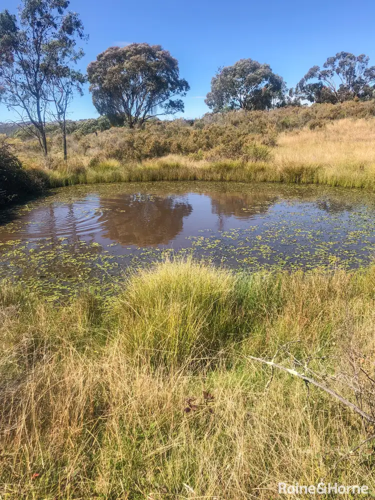 Fourth view of Homely land listing, 350 Posey Hill Road, Hill End NSW 2850
