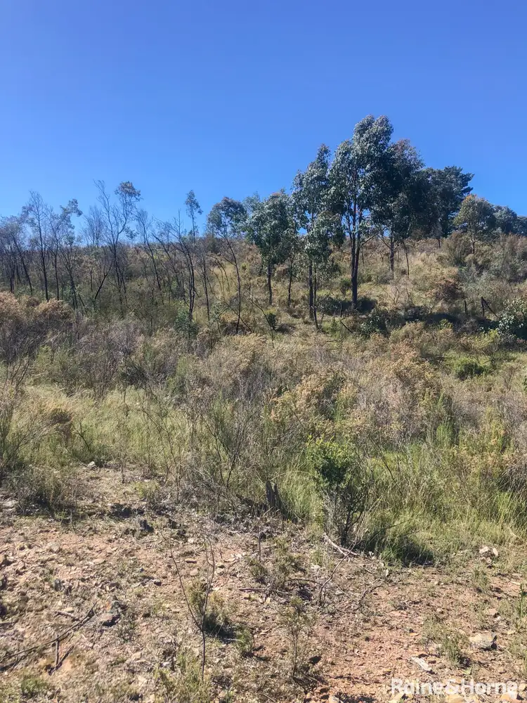Sixth view of Homely land listing, 350 Posey Hill Road, Hill End NSW 2850