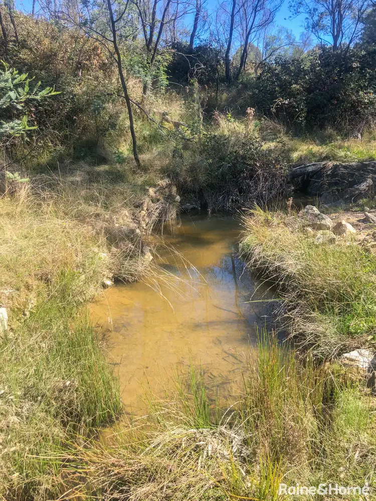 Seventh view of Homely land listing, 350 Posey Hill Road, Hill End NSW 2850