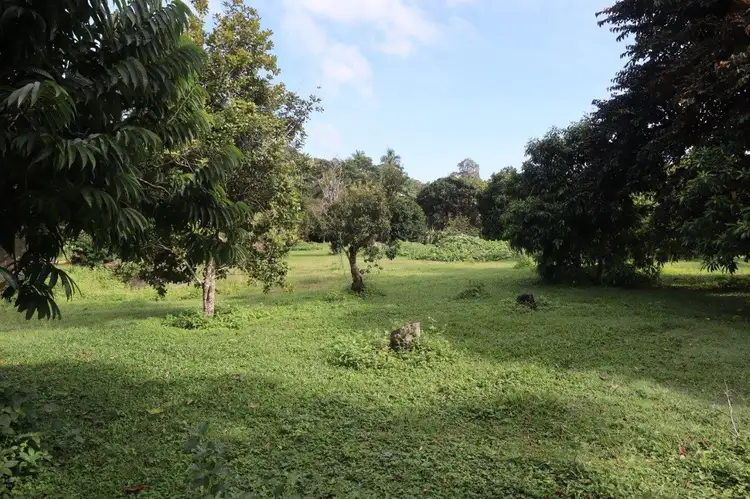 Seventh view of Homely land listing, LOT 305 Osborne Street, Daintree QLD 4873
