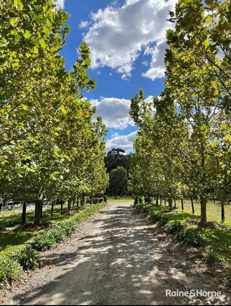 Third view of Homely house listing, 99 Eucalypt Lane, High Range NSW 2575