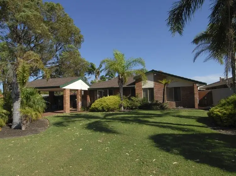 Main view of Homely house listing, 42 Cuthbertson Drive, Cooloongup WA 6168