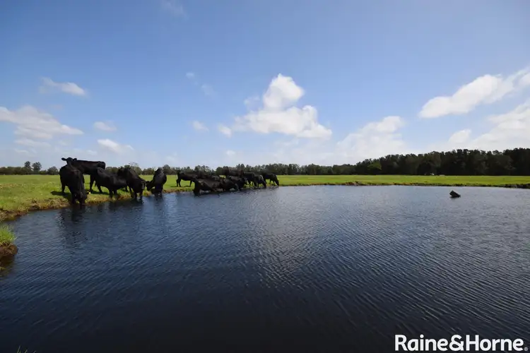 Third view of Homely land listing, 1111 Greenwell Point Road, Pyree NSW 2540