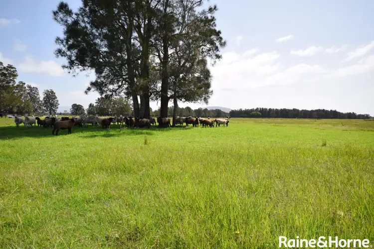 Fourth view of Homely land listing, 1111 Greenwell Point Road, Pyree NSW 2540