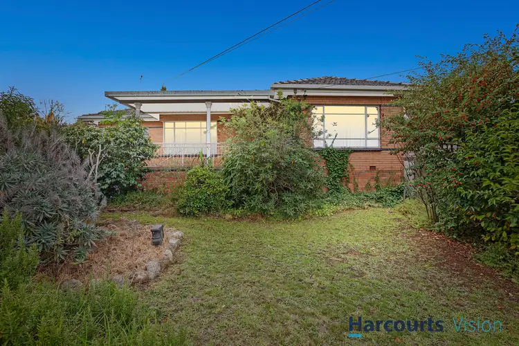 10 McKenna Street, Avondale Heights VIC 3034