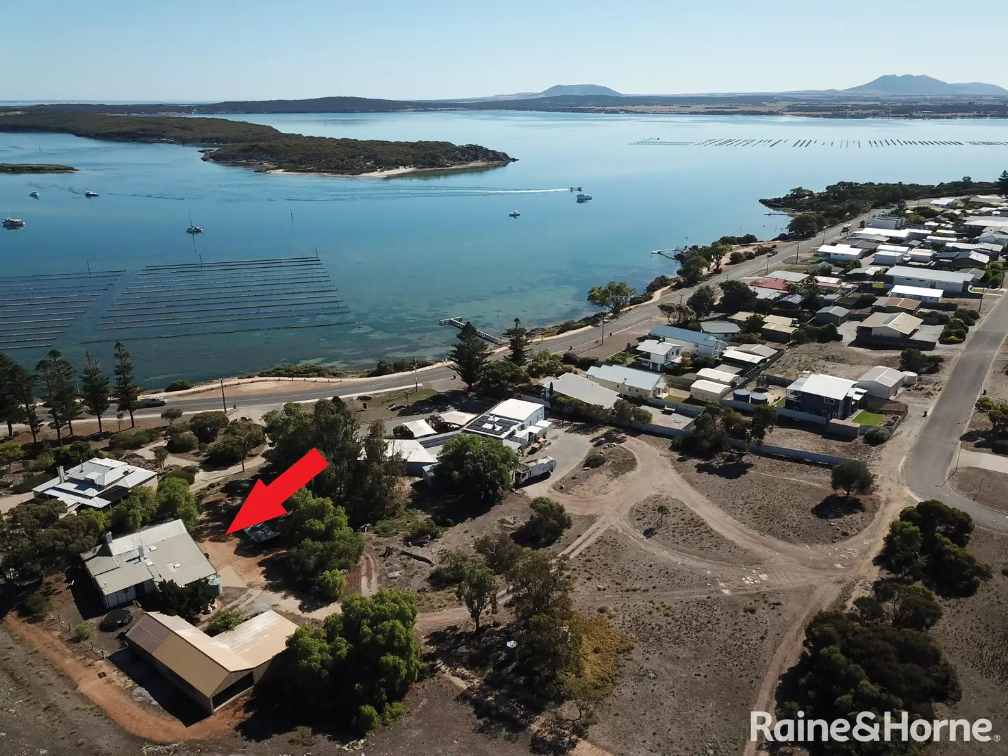 Main view of Homely house listing, 60 Pine Crescent, Coffin Bay SA 5607