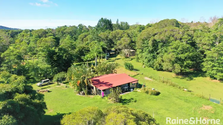 Third view of Homely house listing, 21 Trinity Close, Julatten QLD 4871