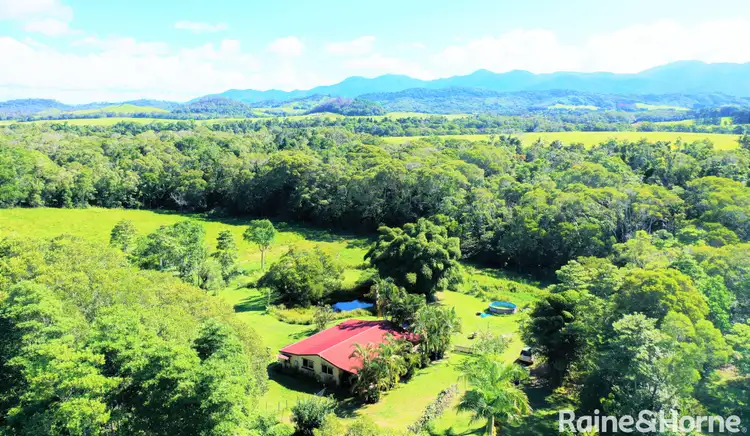 Fourth view of Homely house listing, 21 Trinity Close, Julatten QLD 4871