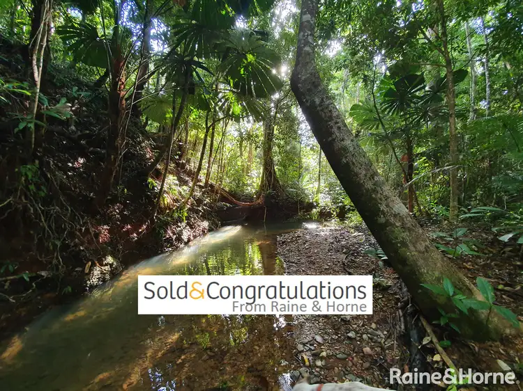 Main view of Homely land listing, 45 Silver Ash Road COW BAY, Daintree QLD 4873