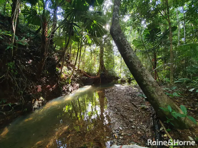Second view of Homely land listing, 45 Silver Ash Road COW BAY, Daintree QLD 4873