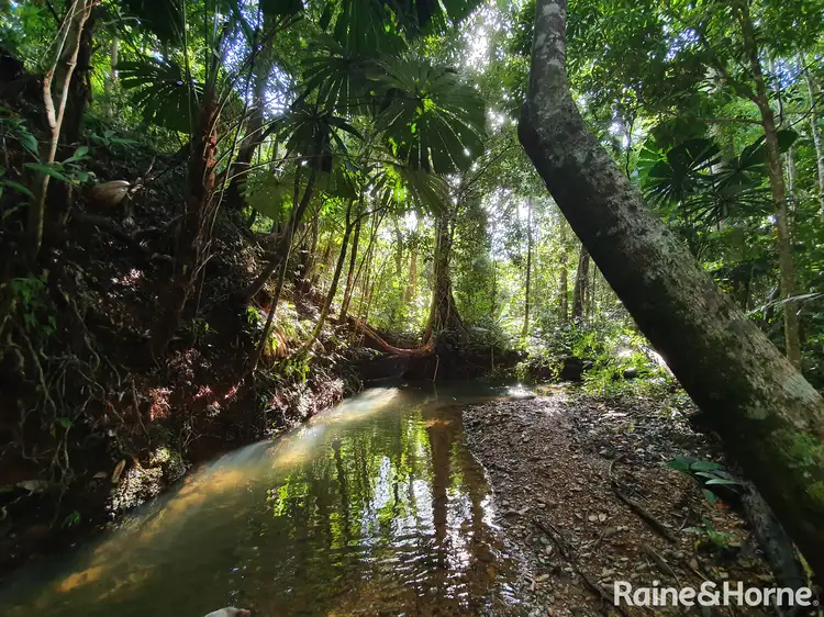 Third view of Homely land listing, 45 Silver Ash Road COW BAY, Daintree QLD 4873