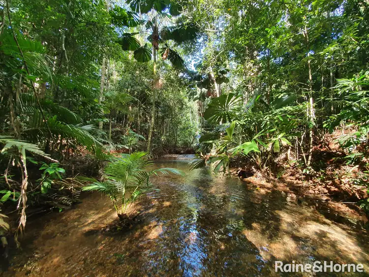 Fourth view of Homely land listing, 45 Silver Ash Road COW BAY, Daintree QLD 4873