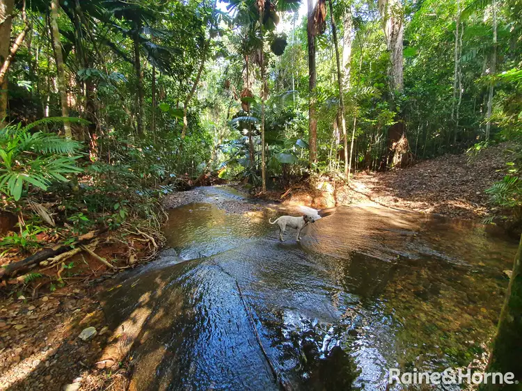 Sixth view of Homely land listing, 45 Silver Ash Road COW BAY, Daintree QLD 4873