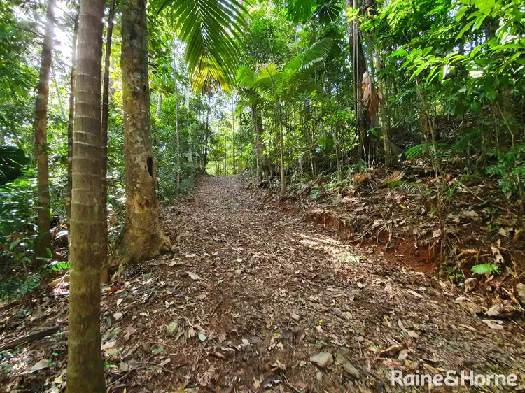 Seventh view of Homely land listing, 45 Silver Ash Road COW BAY, Daintree QLD 4873