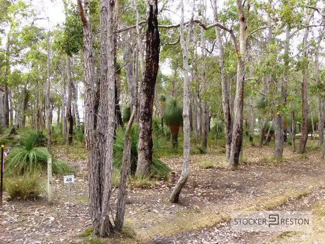 Main view of Homely land listing, 48 Sabina Drive, Molloy Island WA 6290