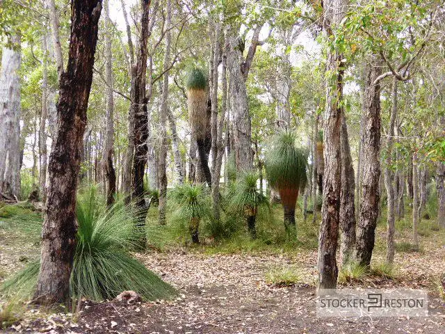 Second view of Homely land listing, 48 Sabina Drive, Molloy Island WA 6290