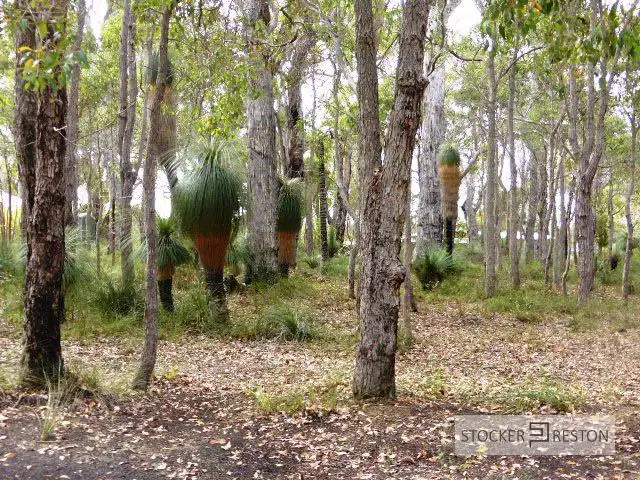 Third view of Homely land listing, 48 Sabina Drive, Molloy Island WA 6290