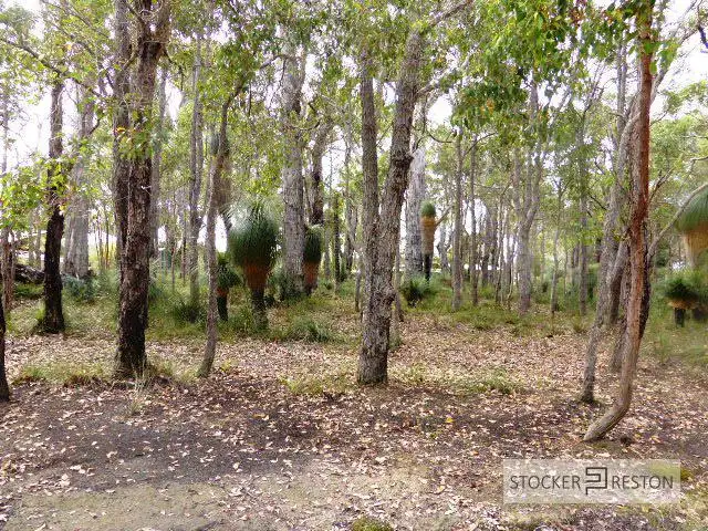 Fourth view of Homely land listing, 48 Sabina Drive, Molloy Island WA 6290