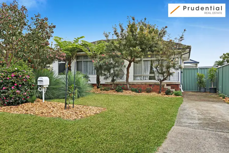 46 Darwin Road, Campbelltown NSW 2560