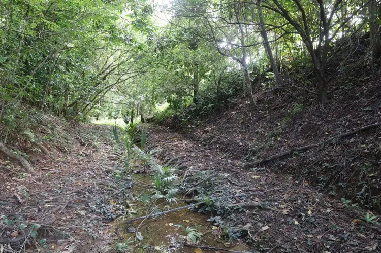 Fourth view of Homely land listing, LOT 309 Daly Street, Daintree QLD 4873