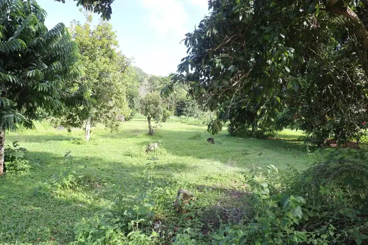 Seventh view of Homely land listing, LOT 309 Daly Street, Daintree QLD 4873