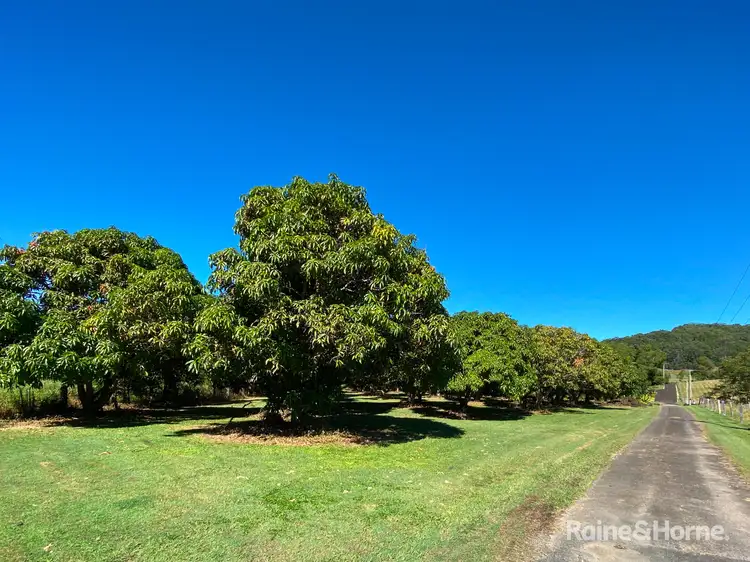 Fourth view of Homely house listing, 970 Cudgera Creek Road, Cudgera Creek NSW 2484