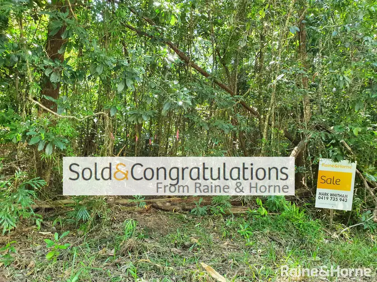 41 Cedar Road, Cow Bay, Daintree QLD 4873