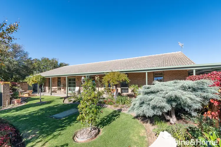 Second view of Homely house listing, 43 Hooper Road, Strathalbyn SA 5255
