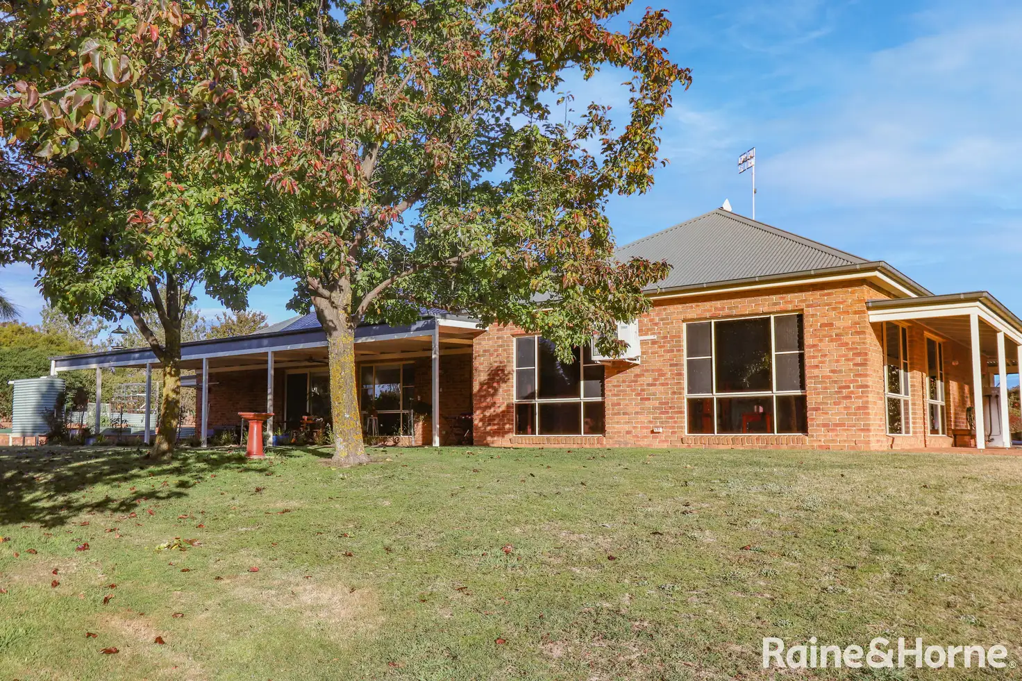 Main view of Homely house listing, 116 Mount Haven Way, Meadow Flat NSW 2795