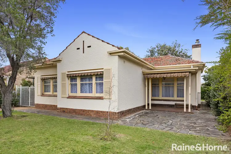 19 Netherby Avenue, Plympton SA 5038
