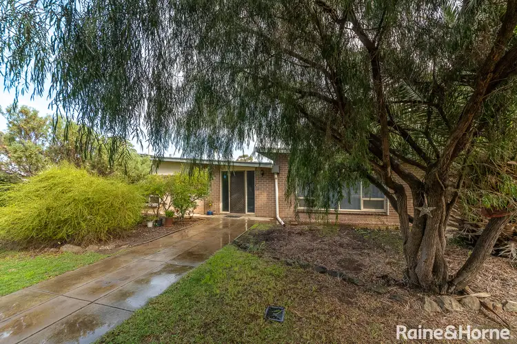 Second view of Homely house listing, 12 Lime Street, Strathalbyn SA 5255