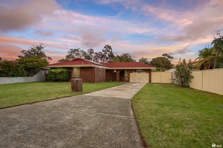 Main view of Homely house listing, 7 Haynes Court, Armadale WA 6112