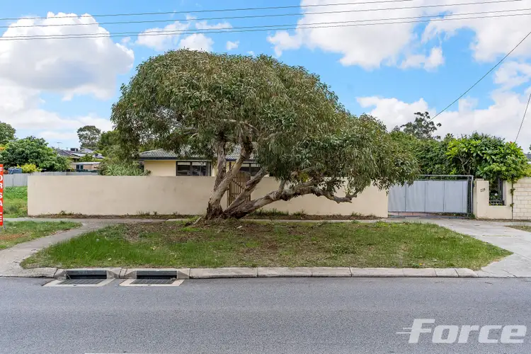 Third view of Homely house listing, 228 Erindale Road, Hamersley WA 6022