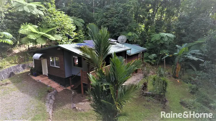 Second view of Homely house listing, 1377 Cape Tribulation Road, COW BAY, Daintree QLD 4873