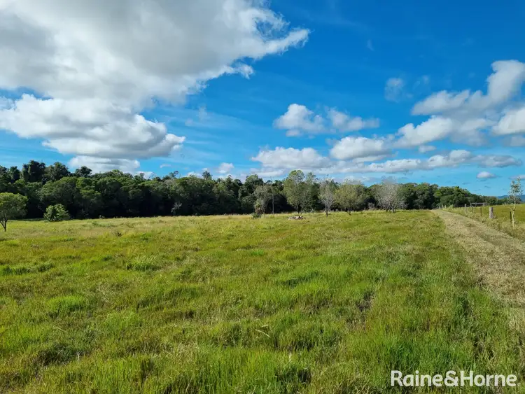 Fourth view of Homely house listing, 96 Mary Jane Drive, Julatten QLD 4871