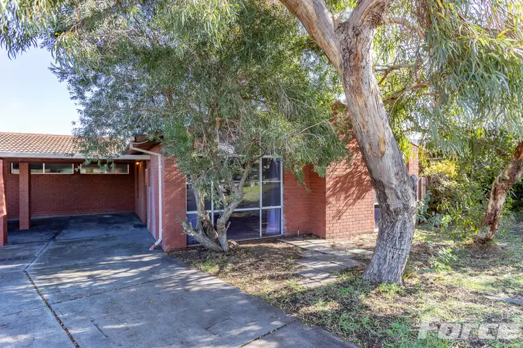 Main view of Homely semi-detached listing, 8B Kenrick Street, Balcatta WA 6021