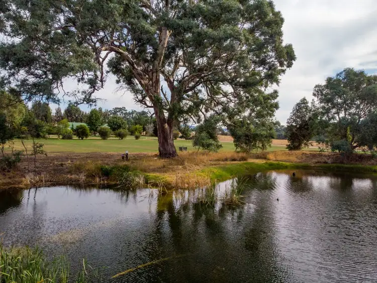Second view of Homely other listing, 989 Howes Creek Road, Mansfield VIC 3722