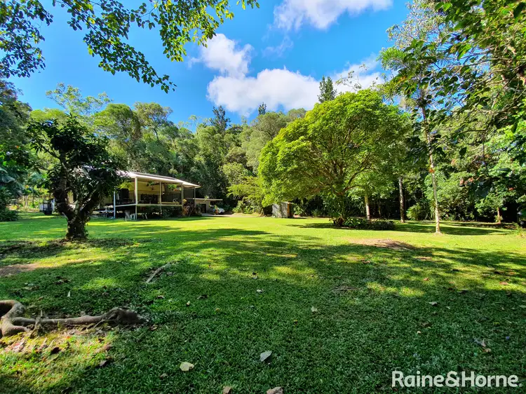Third view of Homely house listing, 350 Forest Creek Road, Forest Creek, Daintree QLD 4873