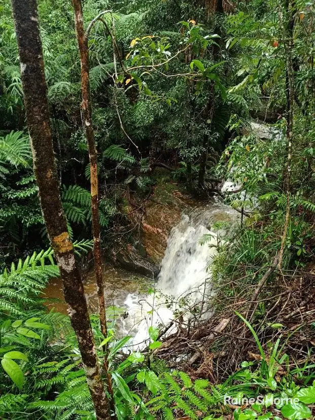 Fourth view of Homely house listing, 350 Forest Creek Road, Forest Creek, Daintree QLD 4873